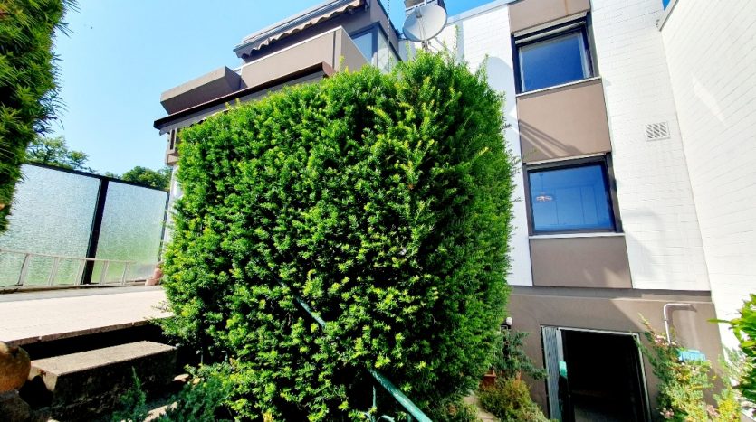 Haus mit modernen Fenstern, grüner Hecke und Treppe, umgeben von Pflanzen. Klarer blauer Himmel im Hintergrund.
