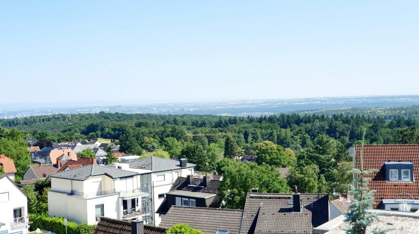 Blick auf eine Wohngegend mit verschiedenen Dächern, umgeben von Bäumen und Hügeln unter blauem Himmel.