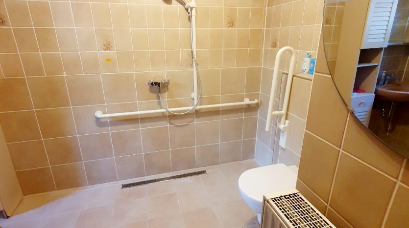 Barrierefreies Badezimmer mit Duschbereich, Haltegriffen, Toilette und Heizkörper. Fliesen in Beige und braun.