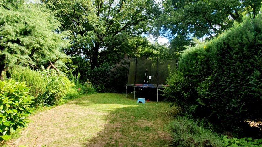 Grüner Garten mit Rasen, umgeben von Bäumen und Sträuchern. Im Hintergrund steht ein Trampolin. Klarer Himmel.