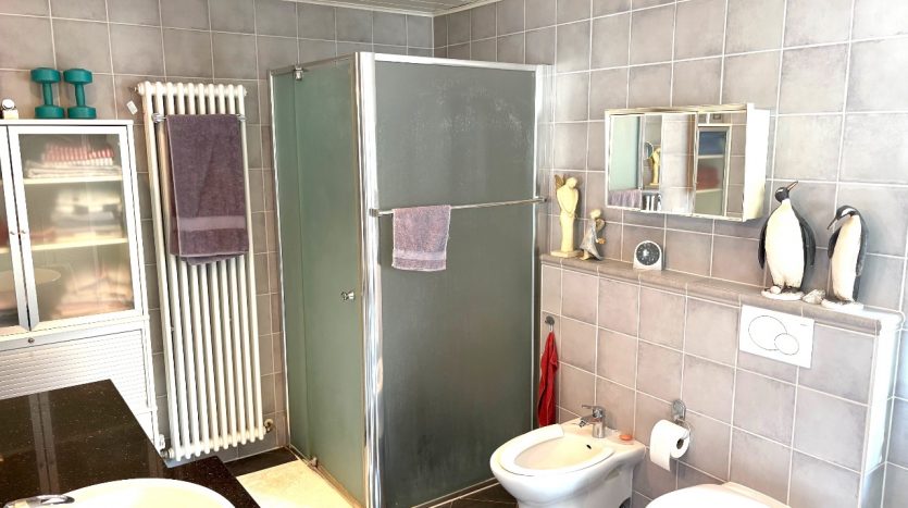 Modernes Badezimmer mit Duschkabine, Waschbecken, Bidet und dekorativen Pinguinen auf der Ablage.
