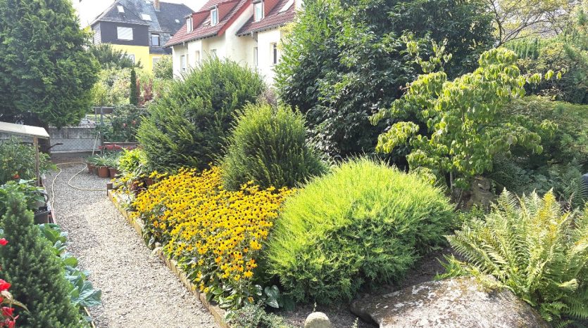 Bunter Garten mit gelben Blumen, grünen Sträuchern, Felsen und einem Kiesweg, umgeben von Wohnhäusern.