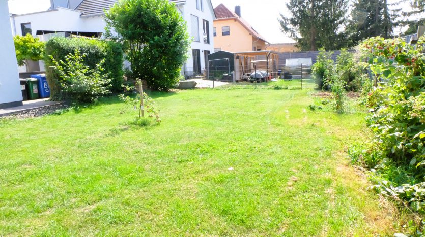Grüner Garten mit Rasen, Sträuchern und Bäumen, umgeben von modernen Häusern und einem Sichtschutzzaun.
